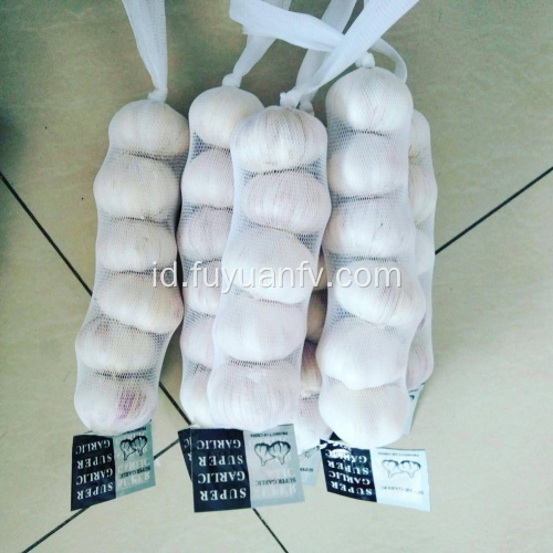 Dijual 2019 bawang putih baru